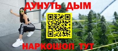 Альфа ПВП Новозыбков