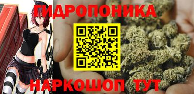 Альфа ПВП Новозыбков